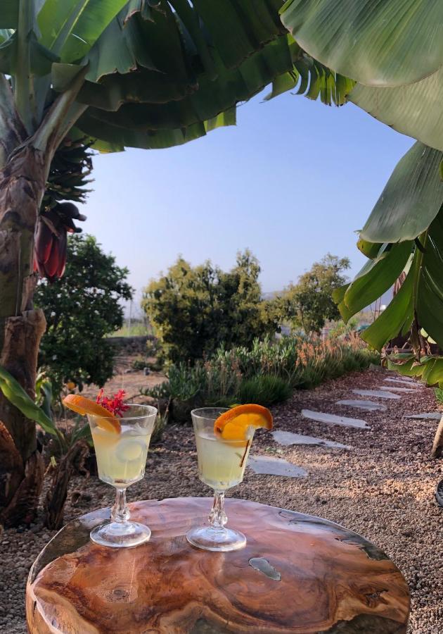 Villa Afrikan Krisant Tenerife, Ecologica *