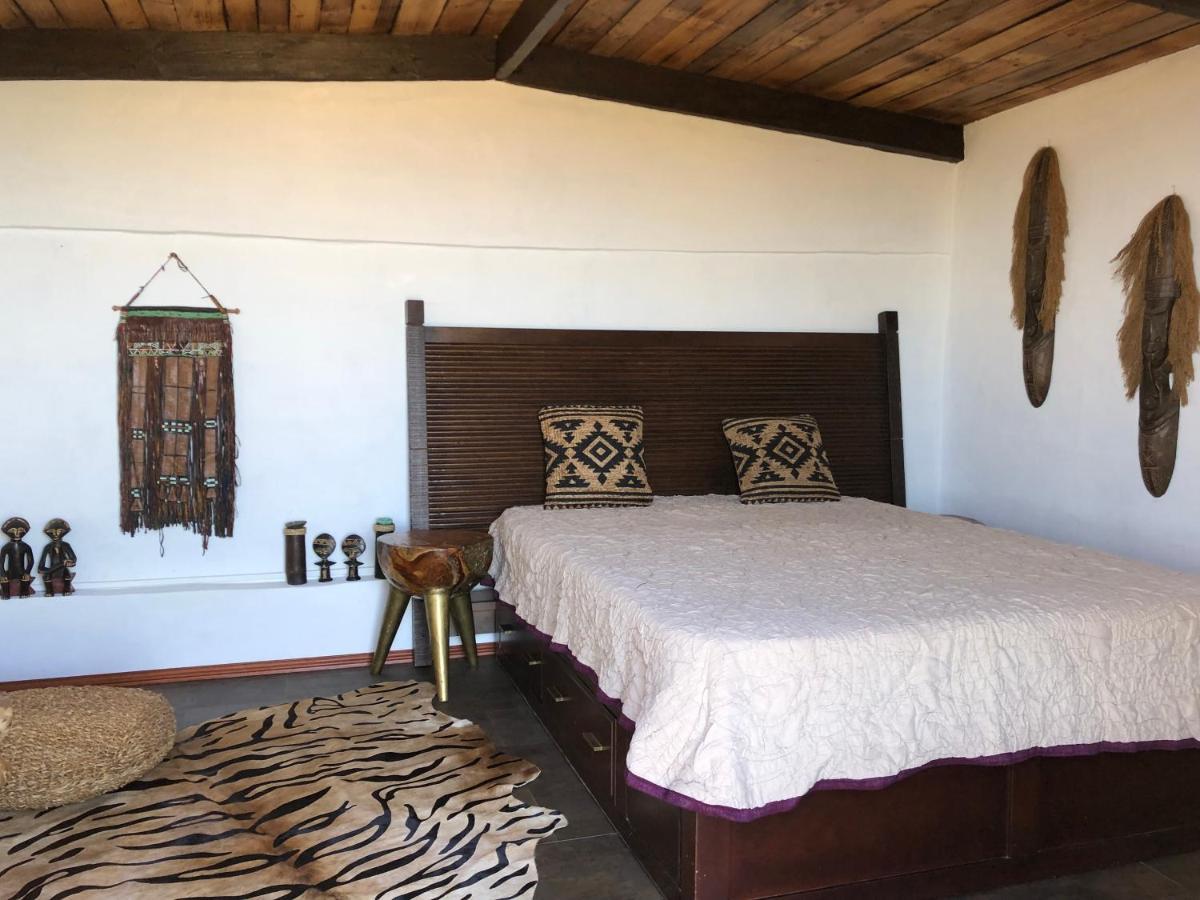 Afrikan Krisant Tenerife, Ecologica Villa Arafo