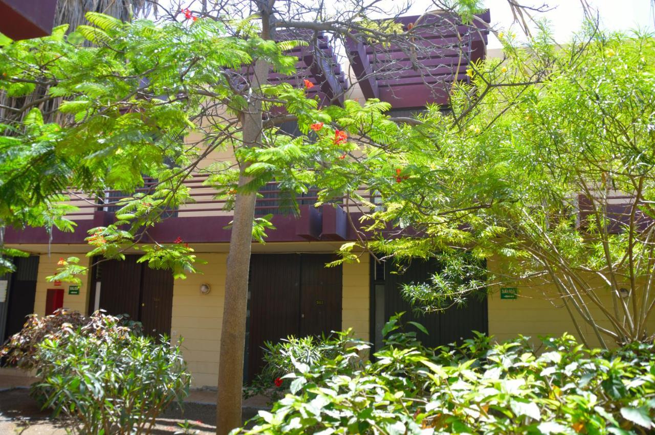Calo Apartment *