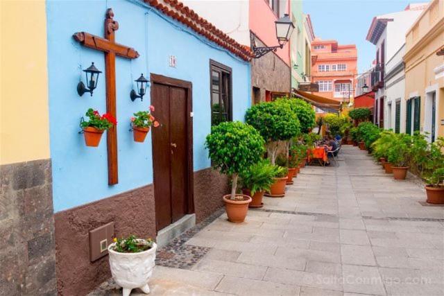 Puerto De La Cruz - Sun House - Holidays - * Puerto de la Cruz (Tenerife)