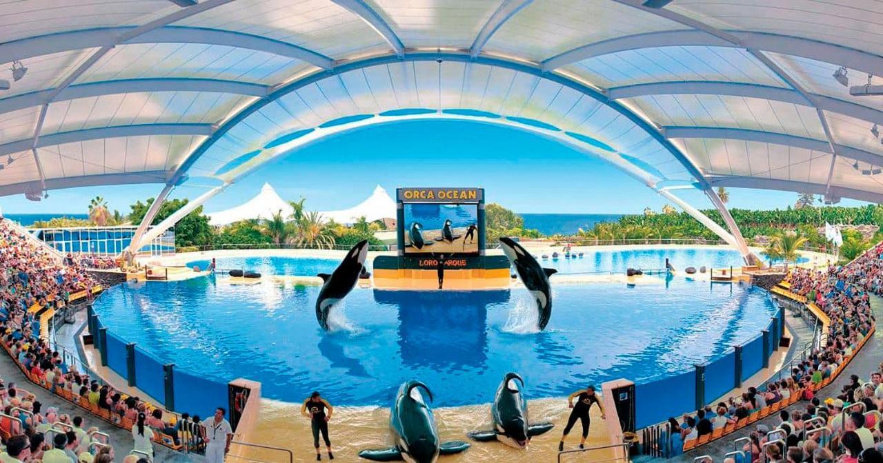 Golf Del Sur Albatros Park Piscina Climatizada Fast Wifi Appartement