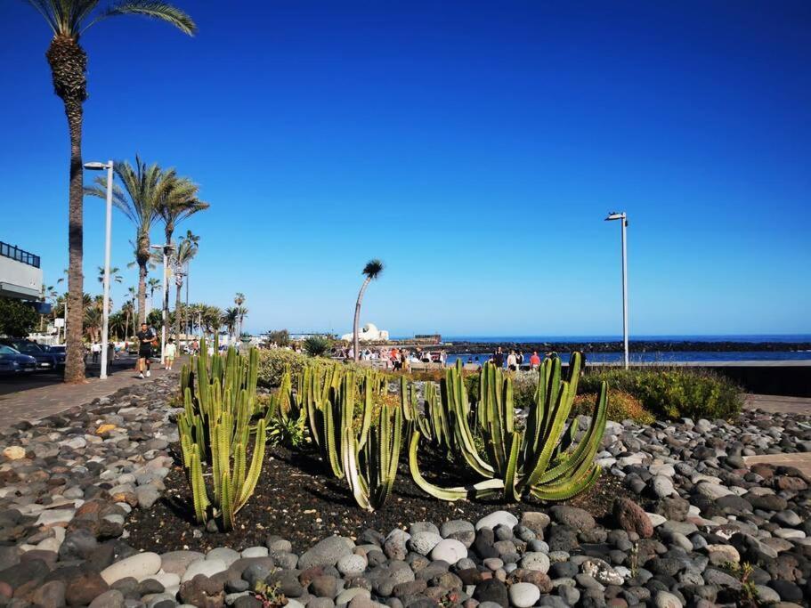 Appartement Estudio Ana Puerto de la Cruz (Tenerife)
