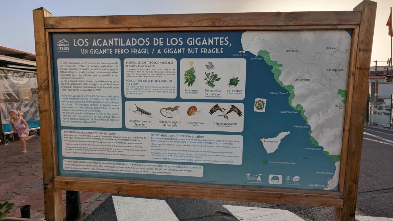 Concanas - Los Gigantes Centre * Acantilado de los Gigantes