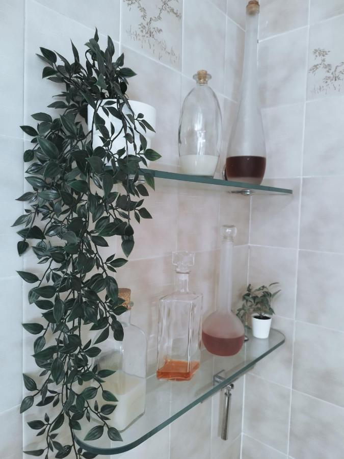 House Experience Violeta Holiday home