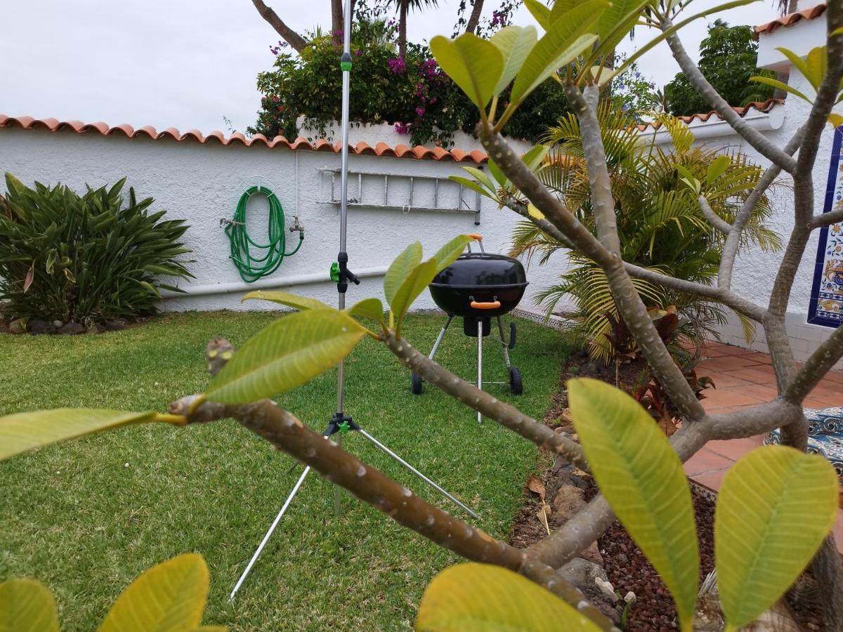 House Experience Violeta