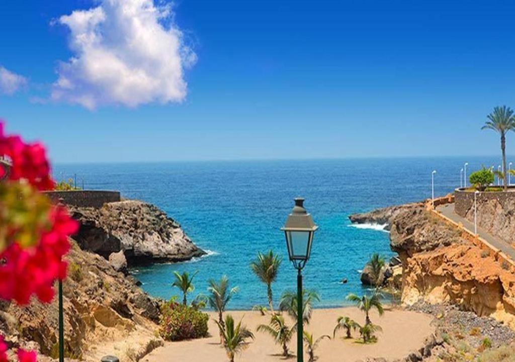 Residencia Sol Paraiso 325 Tenerife Sur Costa Adeje (Tenerife)
