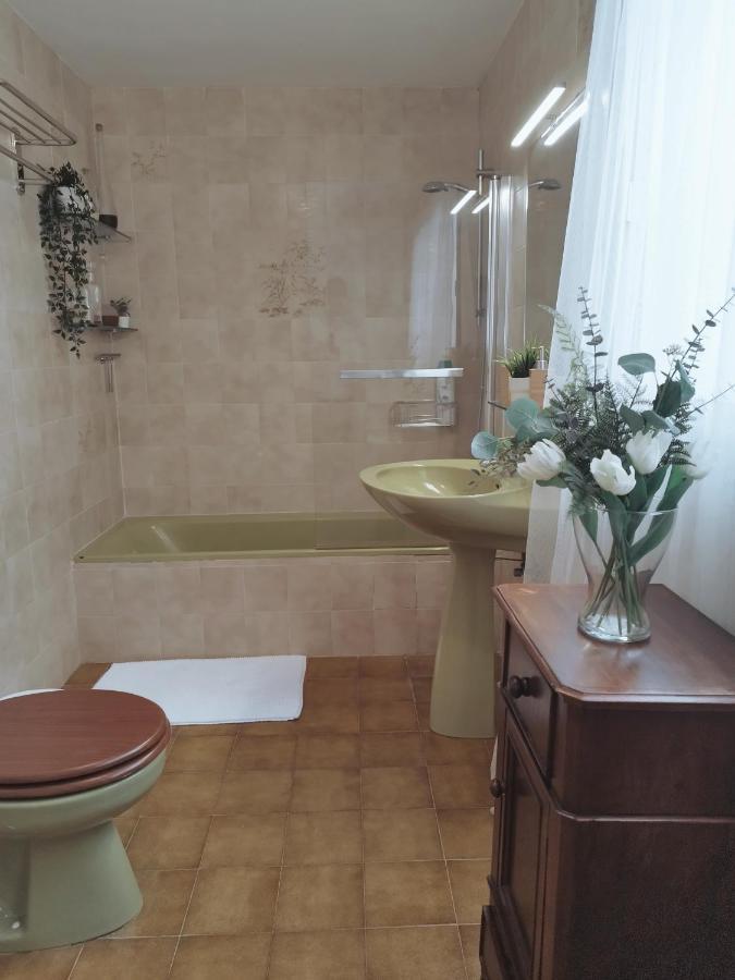 Holiday home House Experience Violeta *