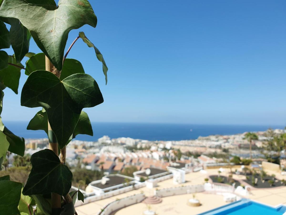 Luxus Meerblick Costa Adeje (Tenerife)