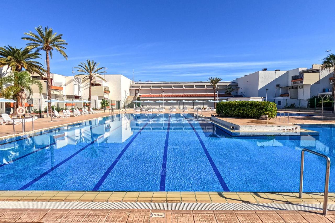Stunning Lovely Flat With Pool And Wi-fi, 31 Arona (Tenerife)
