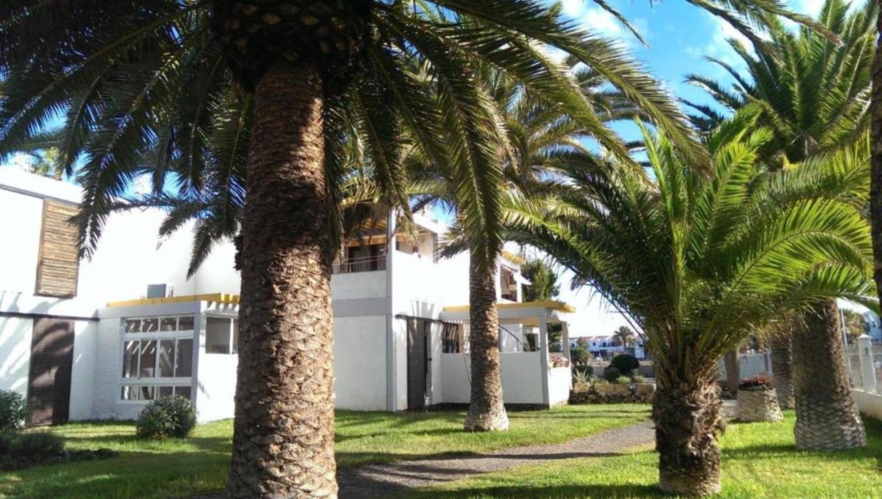 Papagayo Arona (Tenerife)