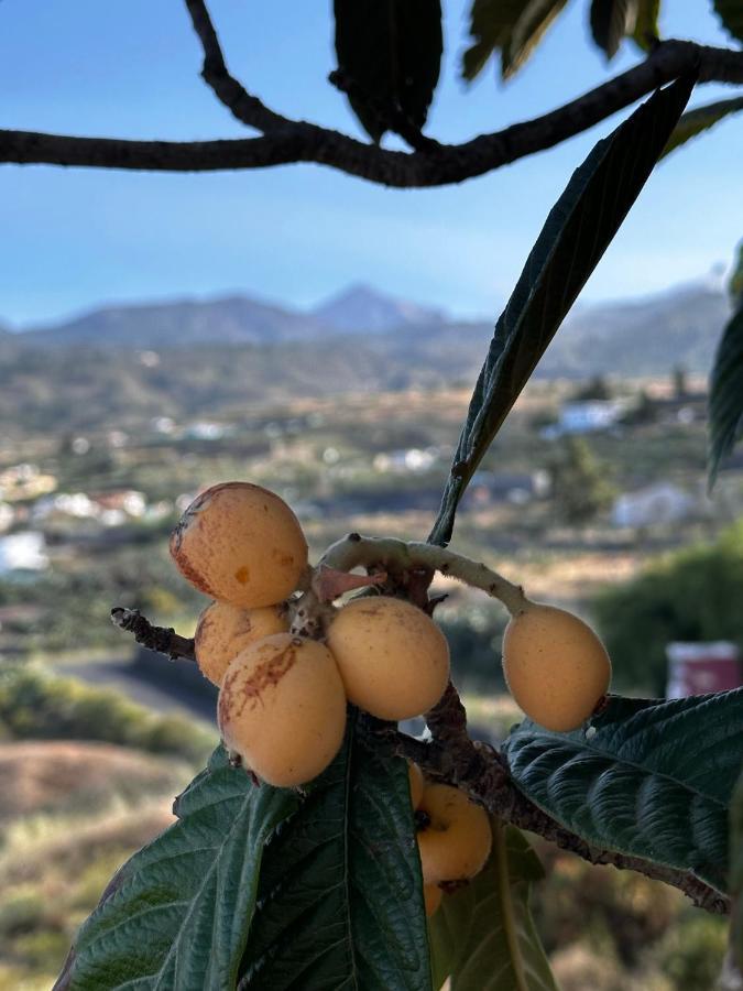 Сasa de vacaciones Casa La Quinta *
