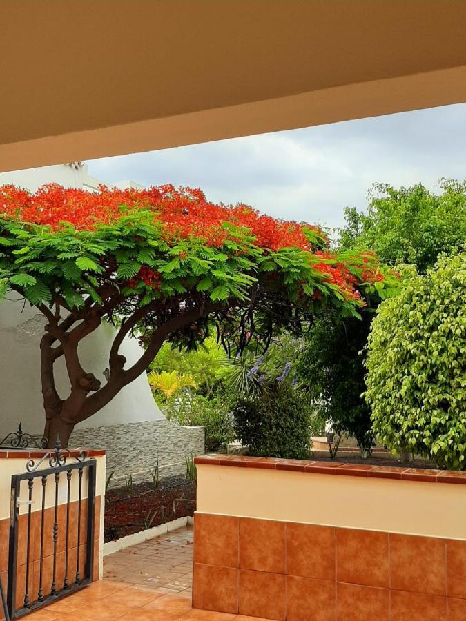 The Palms 2 Bed Duplex With Pool View Apartment
