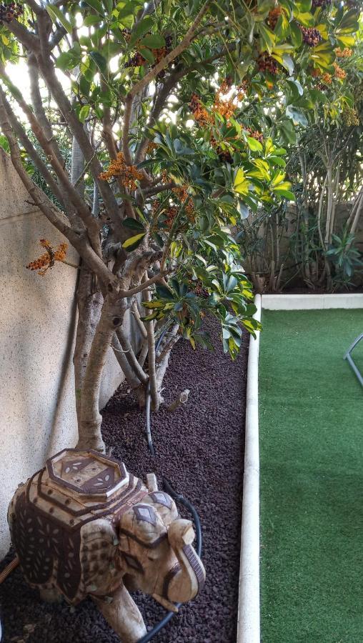 Appartement Apartamento Con Jardin Y Piscina En El Balancon *