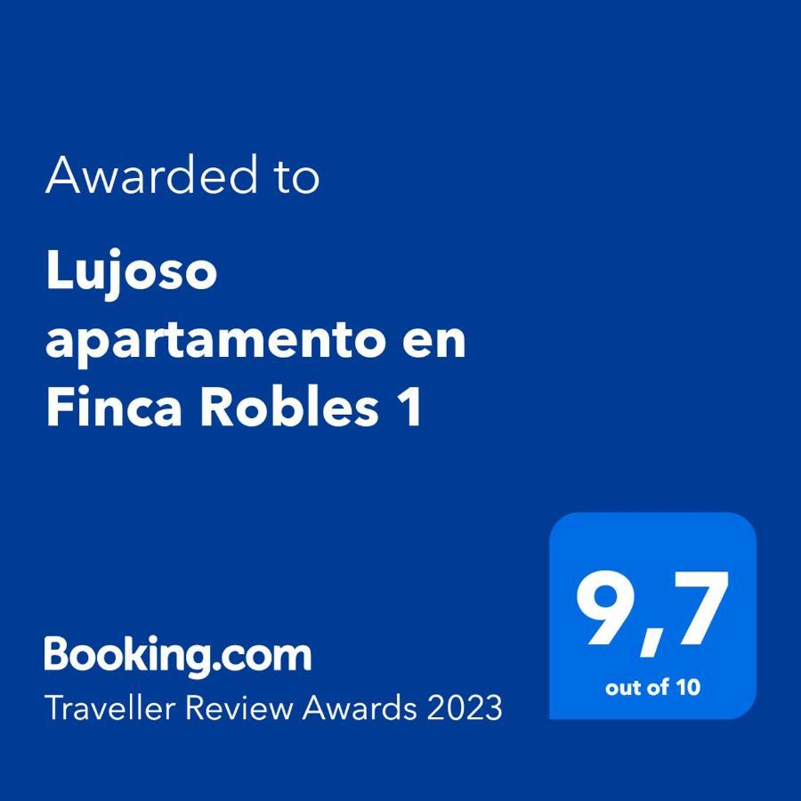 Apartment Lujoso En Robles 2 La Orotava