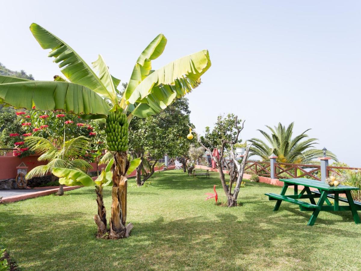 Casa El Mirlo: Paraiso Rural Con Piscina Y Hermosos Jardines En Icod De Vinos, Tenerife - Es-279-20 *