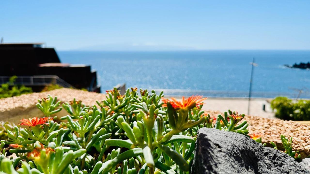 Serigor Bahia Ocean View *