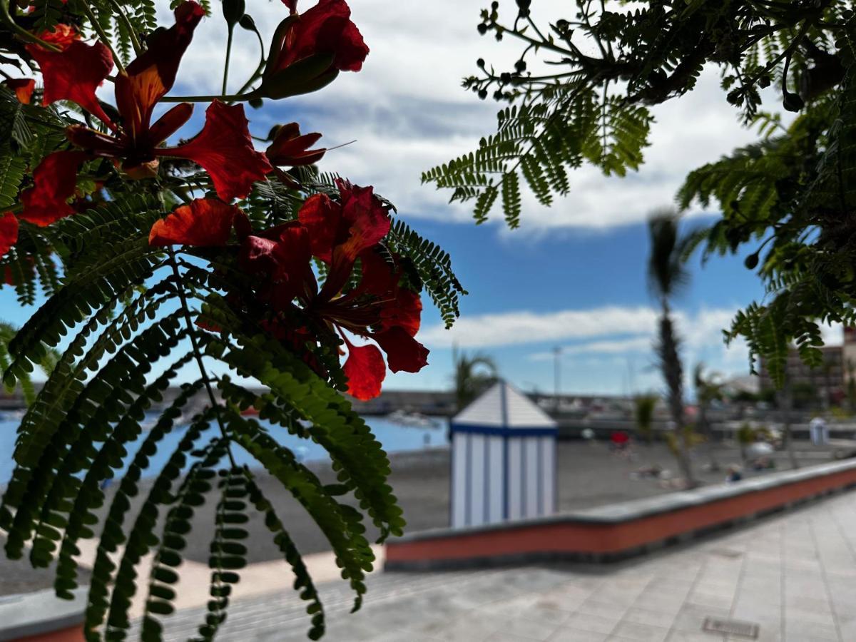 Magnificent And New In Playa San Juan Apartment Guia de Isora (Tenerife)