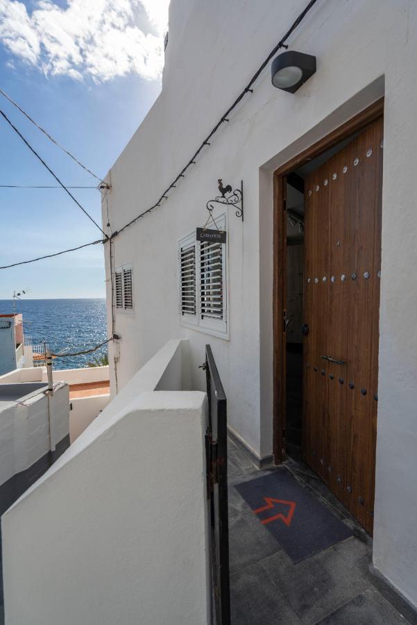 Beachhouse With Amazing Terrace Next To The Ocean * Bocacangrejo