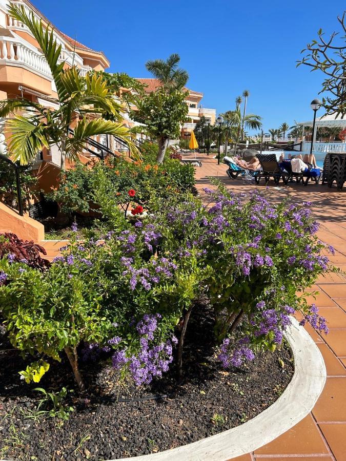 Appartement Comfort En Tenerife Royal Gardens