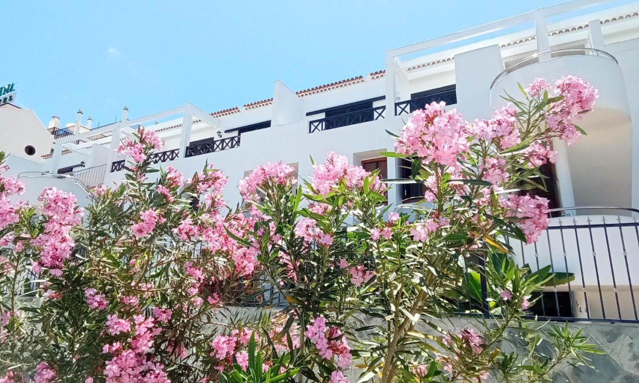 Under The Lime, Beautiful Cristianos Apartment