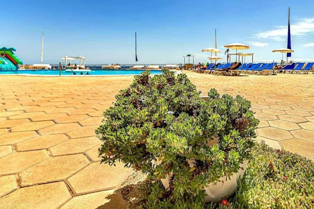Elegante Con Vista Directa Al Mar Apartamento