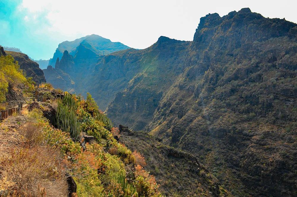 El Barranco De Adeje, Wifi Free Hébergement de vacances *