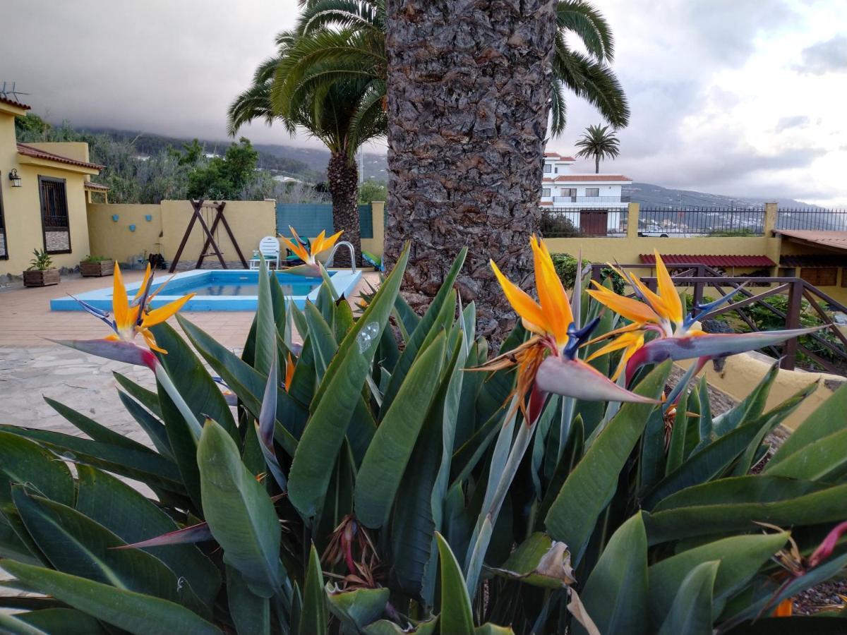 La Costa *