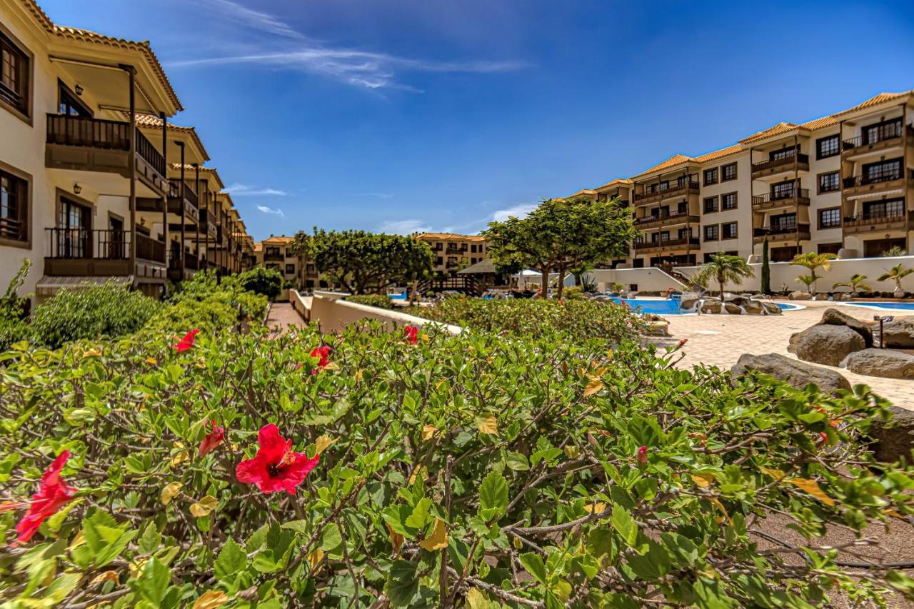 In Front Of The Ocean, Espectacular View, Pool And Wifi * Costa Del Silencio