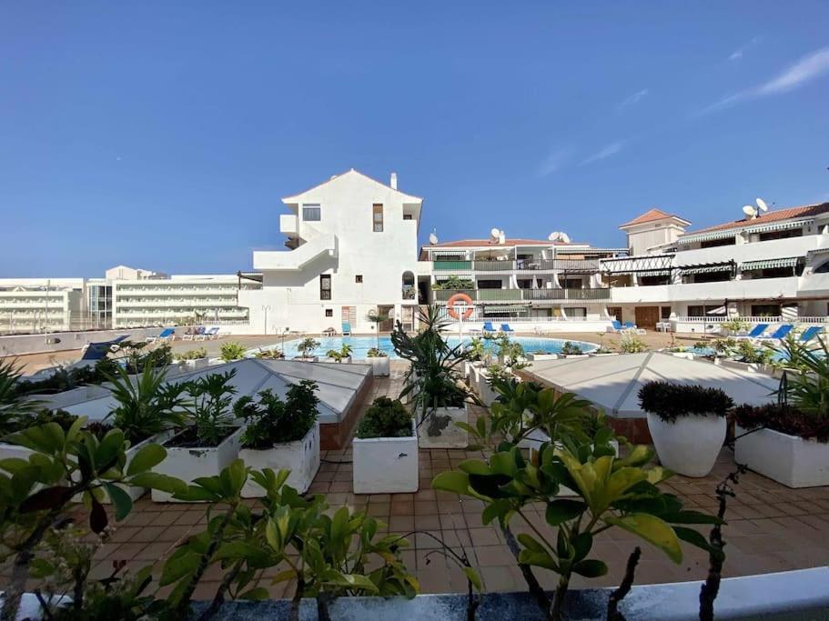 Appartement Brand New In Parque Royal Pool Terrace Wifi Costa Adeje (Tenerife)