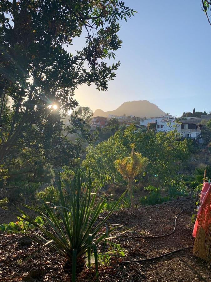 Stilvolle In Teneriffa Süd *
