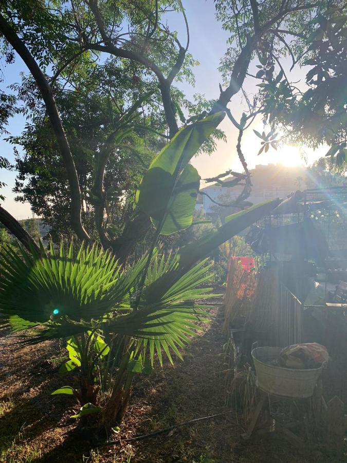 Apartamento Stilvolle In Teneriffa Süd