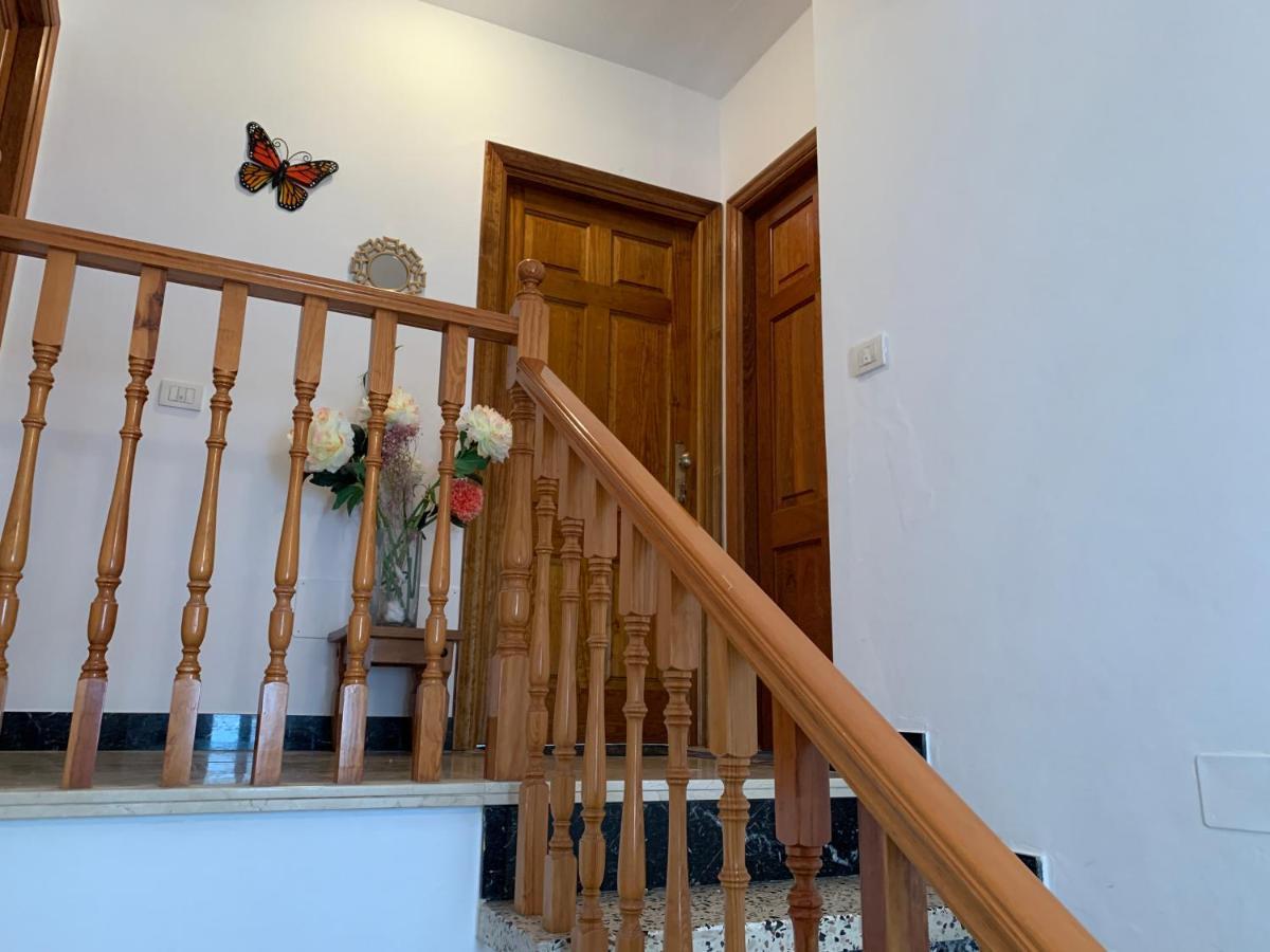 Apartment Renovado 