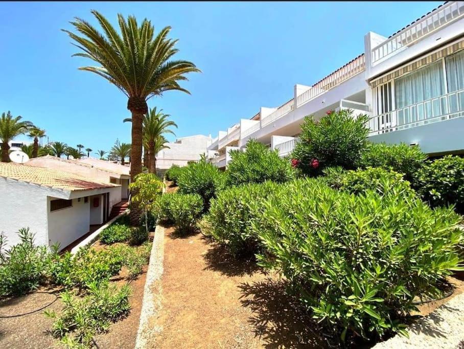 Apartment Estudio Paradero