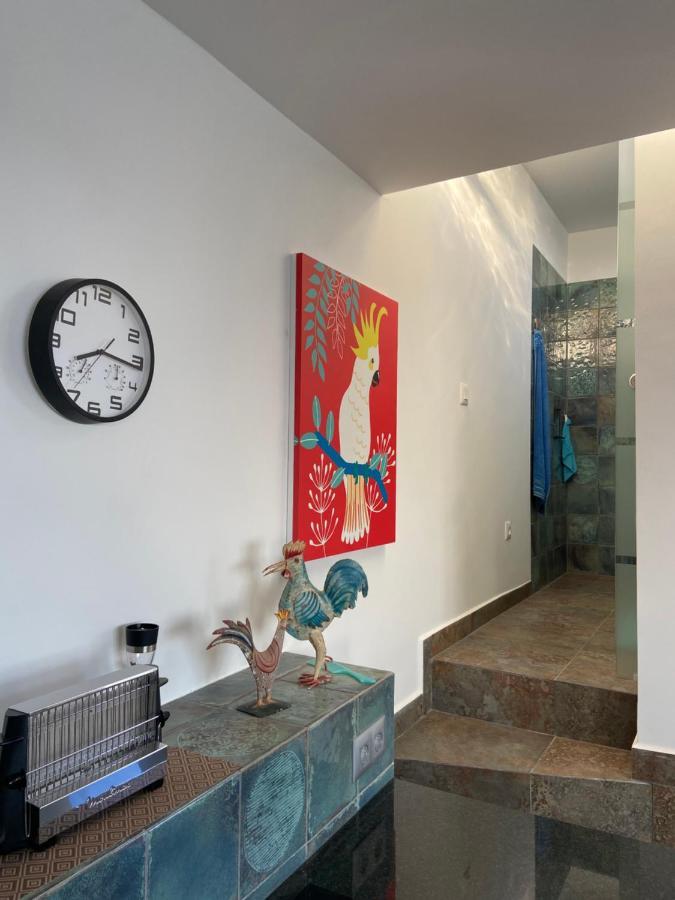 Oasis La Paz - Acaymo Loft - Adults Only - Apartamento Puerto de la Cruz (Tenerife)
