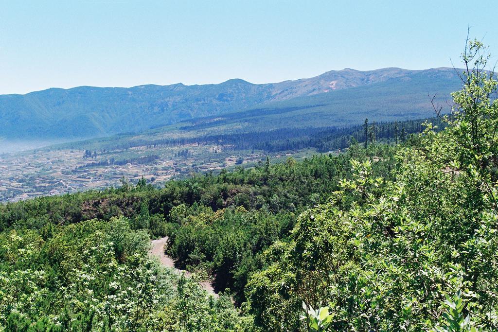Rural Llanadas Hébergement de vacances Los Realejos