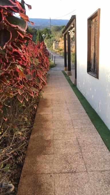 Сasa de vacaciones Con Vistas Maravillosas En Arico Sabina Alta