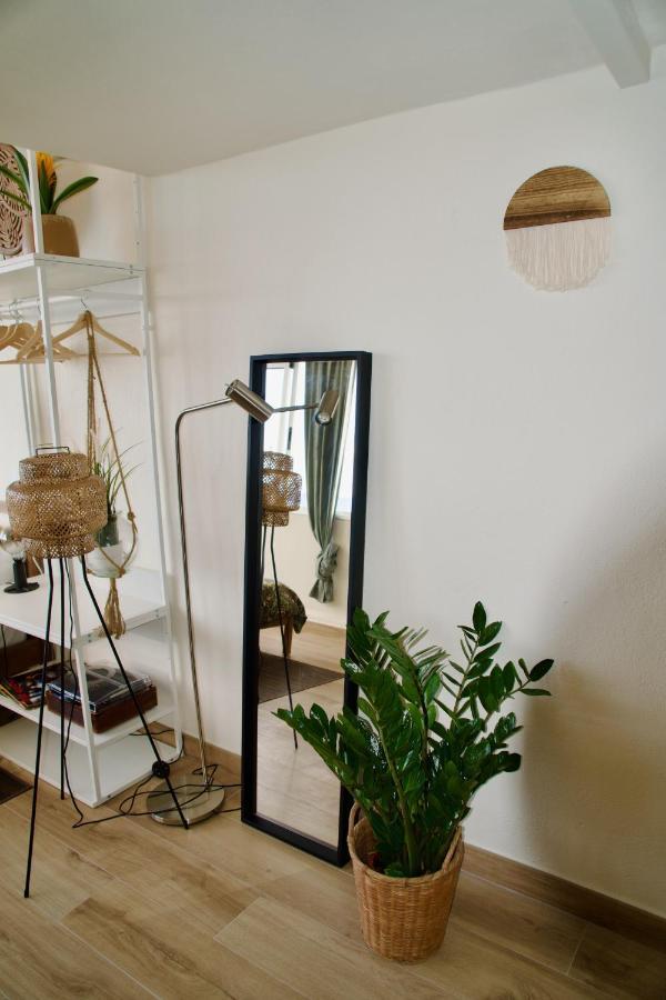 El Estudio De Jessica Apartment La Laguna (Tenerife)