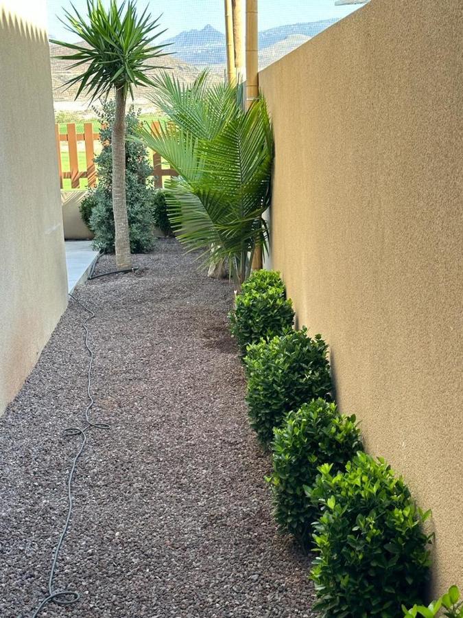 Golf Tenerife South Xx Wheel Accessible Shower Xx Free Wifi Xx Private Pool 30 Degrees Xx Two Terraces 30m2x60m2 Xxfree Parking Xx Mountain View Xx Flatscreen 65 Inch Xx