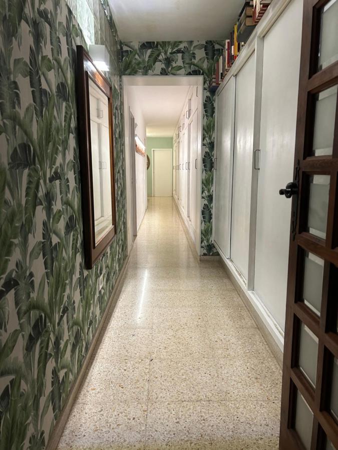 Séjour chez l'habitant Niko *