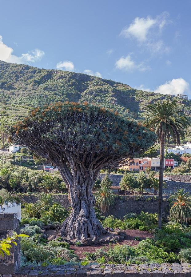 En Icod De Vinos Centrico Del Pueblo, Terraza Con Aparcamiento Cerca Apartment