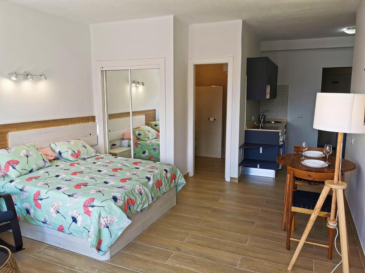 Apartment Paraiso Del Sur Costa Adeje (Tenerife)