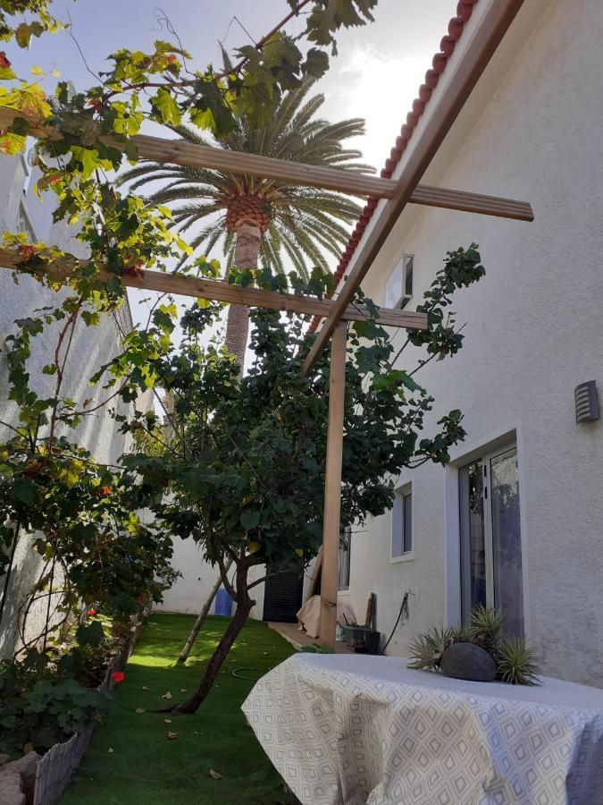 Moon In The Garden Appartement Los Realejos