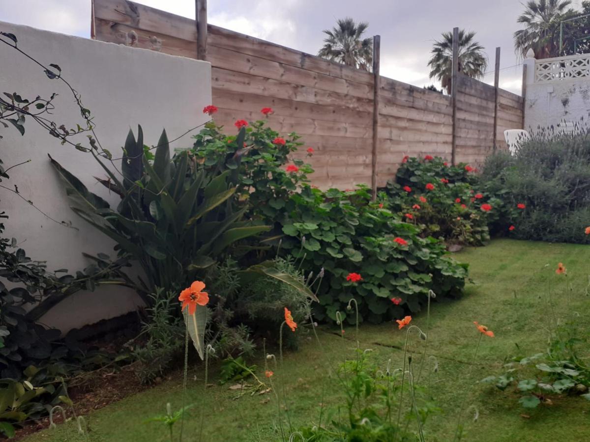 Moon In The Garden * Los Realejos