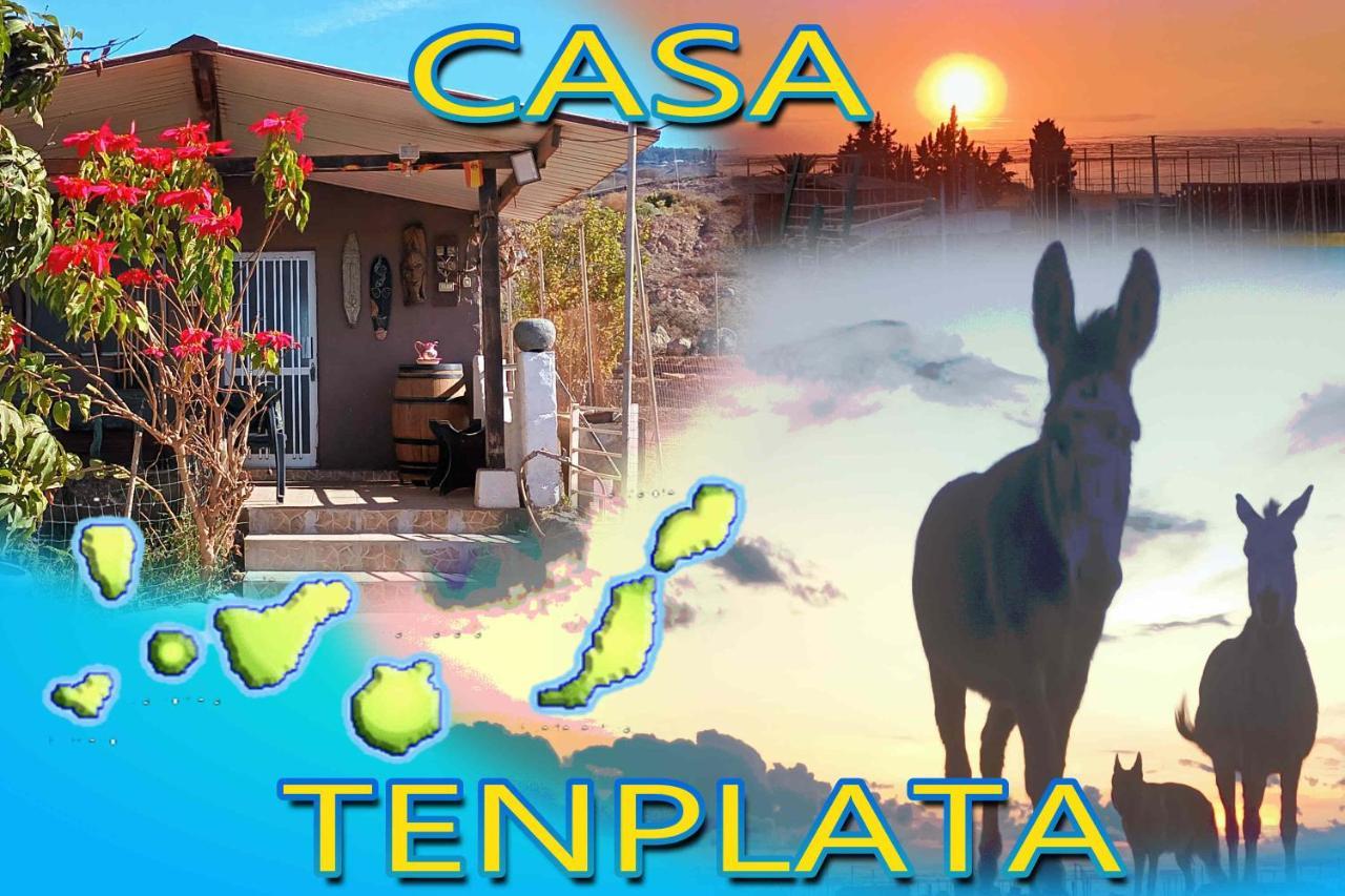Tenplata