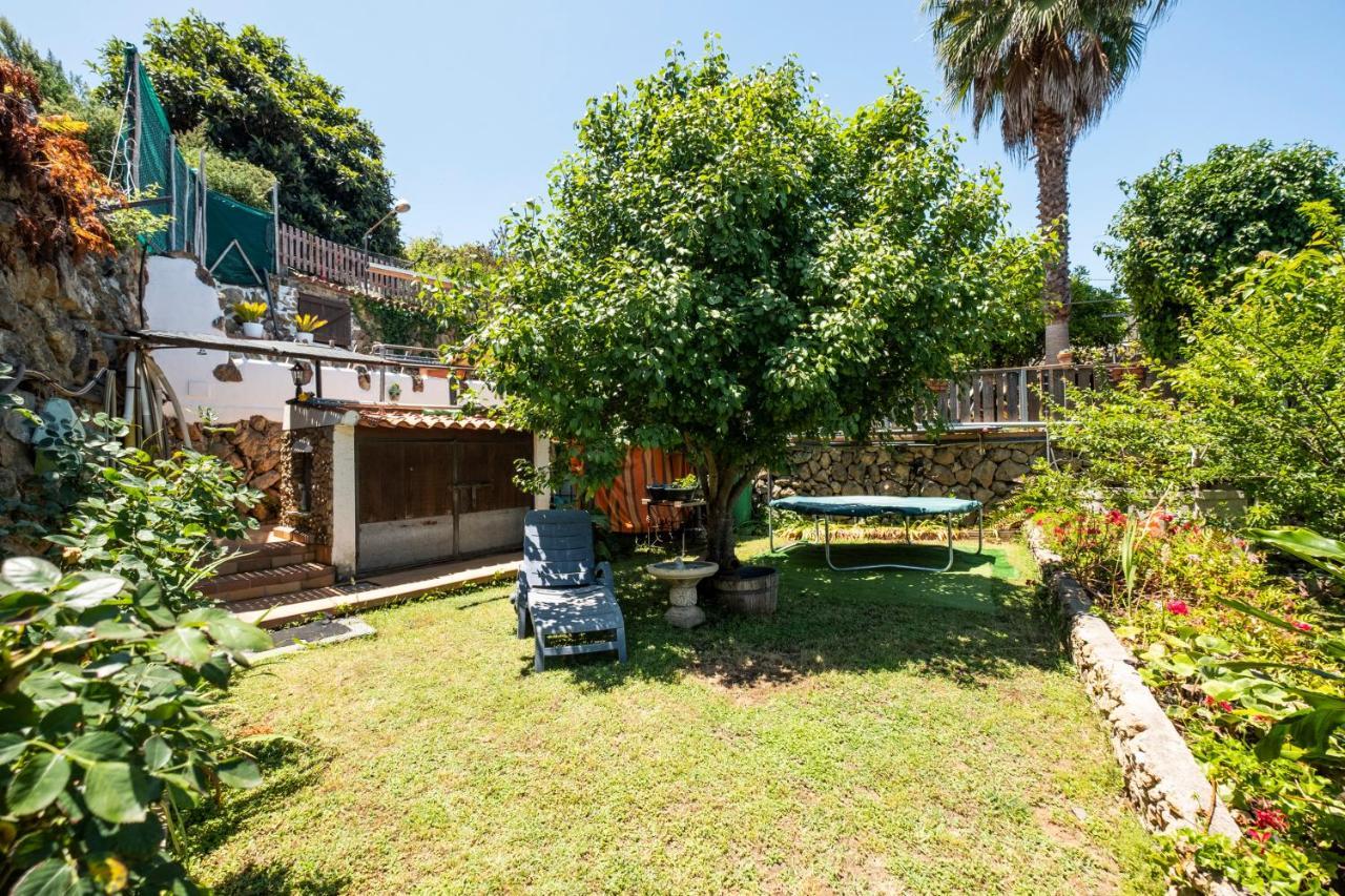Hébergement de vacances La Hortensia Icod De Los Vinos