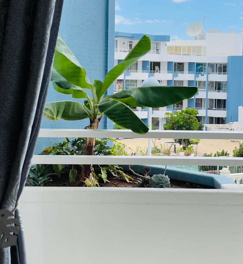 Appartement Estrella *