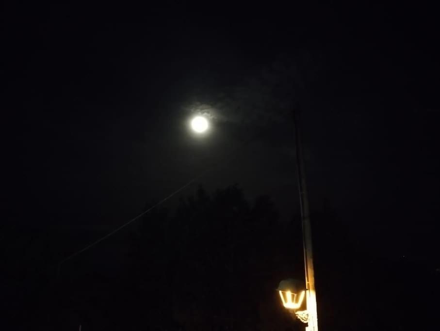 Monte