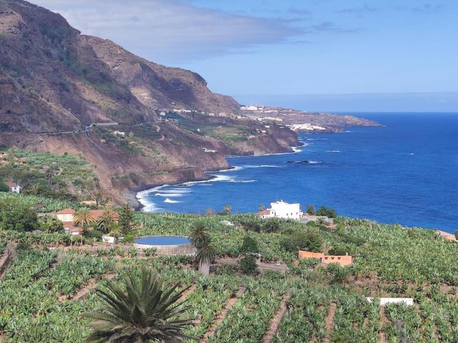 Apartamento Beachfront Triplex Penthouse With Pool, Rooftop, Sea View