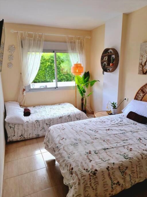 Appartement Homely In Modern Building With Pool