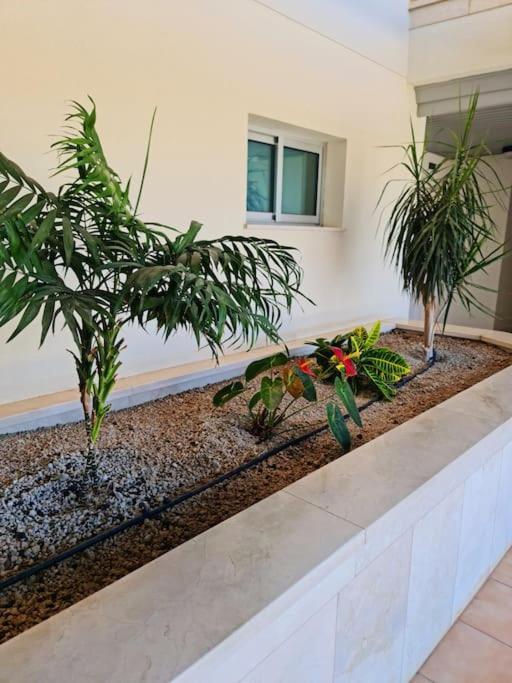 Appartement Homely In Modern Building With Pool San Miguel de Abona